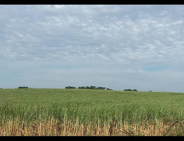 11.17M² FARM FOR SALE IN FAIRBREEZE